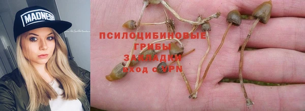mdpv Алексин