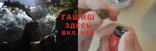 прущие грибы Вязьма