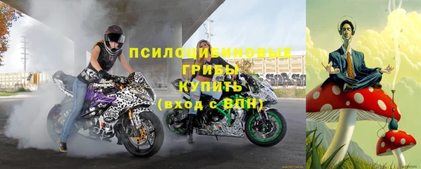 бошки Алзамай