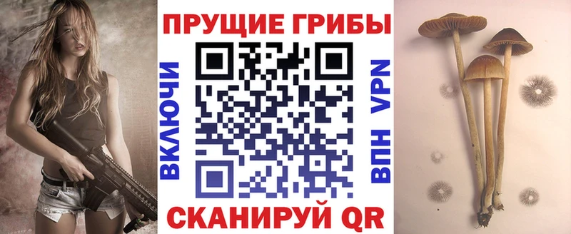 где продают наркотики  Уяр  Псилоцибиновые грибы Magic Shrooms 